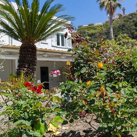 Villa Al Mare - Famiglia Calise Forio di Ischia Zewnętrze zdjęcie