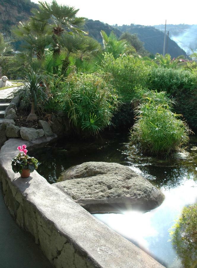 Villa Al Mare - Famiglia Calise Forio di Ischia Zewnętrze zdjęcie
